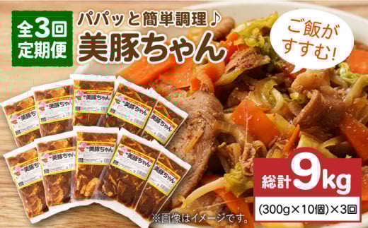 【3回定期便】美豚ちゃん300g×10個 五島市/長崎フードサービス[PEL014] 簡単 調理 豚肉 豚 レトルト パック 小分け 国産 焼肉 加工 肉 レトルト 簡単 おかず