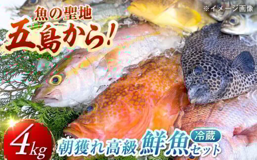 【五島列島直送】朝獲れ高級鮮魚セット4kg 五島市 / 鯛福丸水産[PDP003] 魚 鮮魚 セット 海鮮 直送 さかな 詰合せ 冷蔵