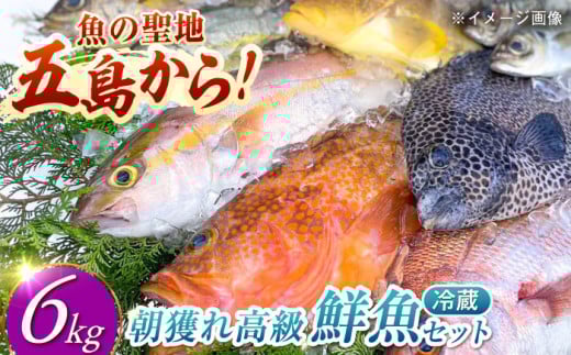 【五島列島直送】朝獲れ高級鮮魚セット6kg 五島市 / 鯛福丸水産[PDP004] 魚 鮮魚 セット 海鮮 直送 さかな 詰合せ 冷蔵