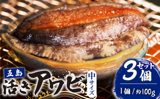 【到着日・受取時間指定必須】【配送エリア限定】【数量限定商品！】五島産養殖活きアワビ 1個あたり約100g前後 中サイズ3個 五島市/（有）都工業 [PEX001]あわび 鮑