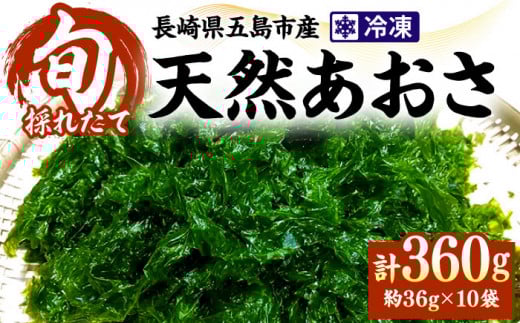 天然生あおさ 約36g×10袋 五島市/金沢鮮魚[PEP004] 冷凍 国産 アオサ 青さ 海藻 食物繊維 のり