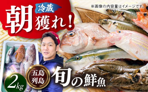 【五島列島直送】朝獲れ鮮魚セット2kg 五島市/鯛福丸水産[PDP008] 鮮魚 セット 冷蔵 魚 海鮮 直送 さかな 詰合せ