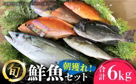 【五島列島直送】朝獲れ鮮魚セット6kg 五島市/鯛福丸水産[PDP012]  魚 鮮魚 セット 海鮮 直送 さかな 詰合せ 冷蔵