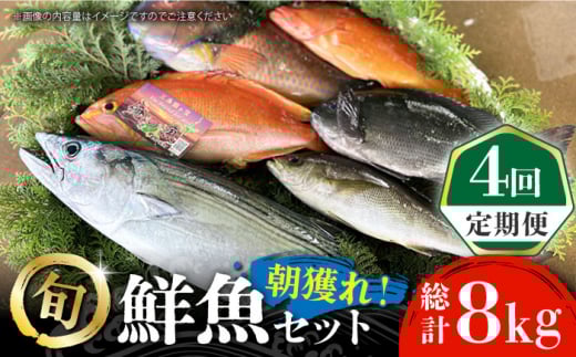 【全4回定期便】【五島列島直送】朝獲れ鮮魚セット2kg 五島市/鯛福丸水産[PDP013]  魚 鮮魚 セット 海鮮 直送 さかな 詰合せ 冷蔵