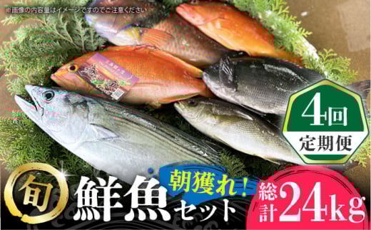 【全4回定期便】【五島列島直送】朝獲れ鮮魚セット6kg 五島市/鯛福丸水産[PDP015]  魚 鮮魚 セット 海鮮 直送 さかな 詰合せ 冷蔵 定期