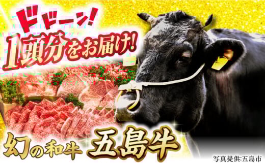 五島牛 一頭分 五島市/ごとう農業協同組合[PAF033]