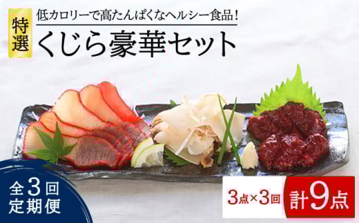 【全3回定期便】 特選 くじら 豪華 3点セット 五島市/丸宗水産 [PAJ004]