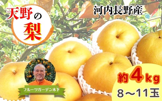 <2025年10月15日頃~発送>【河内長野産】天野の梨 8~11玉 期間限定 フルーツ 果物 なし ナシ 梨 樹上完熟の梨 美味しい梨 旬 河内長野 送料無料 ※発送前の注意事項を十分ご確認ください※