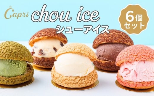 おうちでカフェ気分Capriの贅沢 シューアイスBOX バニラ チョコレート ストロベリー 抹茶 ラムレーズン 5種類 6個 シュークリーム 専門店 Capri 個包装 冷凍スイーツ 人気 洋菓子 スイーツ アイスクリーム 子ども おやつ 自分ご褒美 送料無料 大阪 河内長野