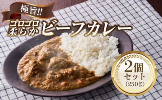 極旨!柔らか牛ヒレ肉ゴロゴロ贅沢ビーフカレー2食セット ごろっと食感 本格カレー 牛肉 ヒレ肉 牛ヒレ肉 国産牛 ビーフカレー ごろごろ 柔らか 濃厚 旨みたっぷり カレー 牛ヒレカレー ヒレ肉カレー 国産牛カレー 贅沢 個包装 冷凍 温めるだけ 湯せん お中元 お歳暮 クリスマス 正月 おせち ギフト 家族用 非常食 保存食 大阪府 河内長野市 老舗フレンチ 国産素材