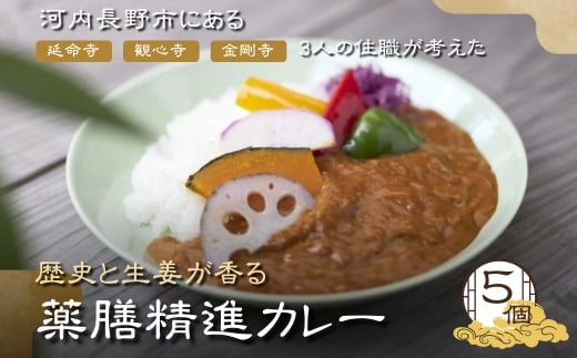 歴史と生姜が香る 薬膳精進カレー 5個 観心寺 金剛寺 延命寺 住職発案 人気レストラン 創作精進料理KU-RI 監修 肉 魚 五辛 不使用 健康 簡単調理 レトルトパック こだわりの逸品 地域特産品 ギフト 自分用 人気 おすすめ