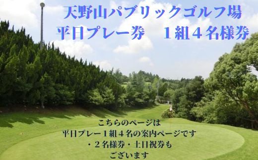 天野山パブリックゴルフ場　平日プレー券　1組４名様