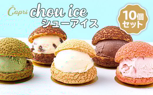おうちでカフェ気分Capriの贅沢 シューアイスBOX バニラ チョコレート ストロベリー 抹茶 ラムレーズン 5種類 10個 シュークリーム 専門店 Capri 個包装 冷凍スイーツ 人気 洋菓子 スイーツ アイスクリーム 子ども おやつ 自分ご褒美 送料無料 大阪 河内長野