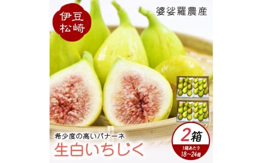 婆娑羅農産 生白いちじく バナーネ　2箱セット