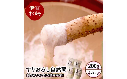 婆娑羅農産 すりおろし自然薯 4パック