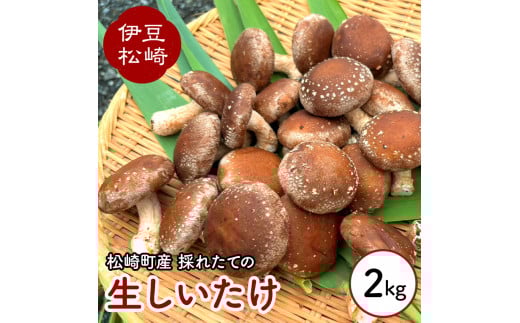 森ペンしいたけ 2kg