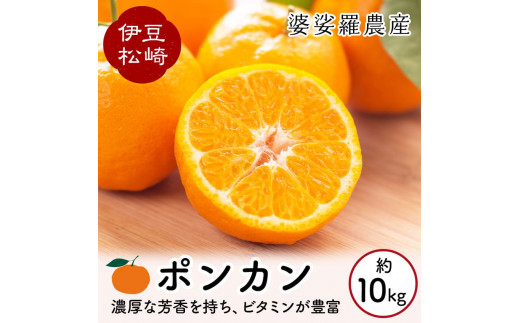 婆娑羅農産 ポンカン 10kg