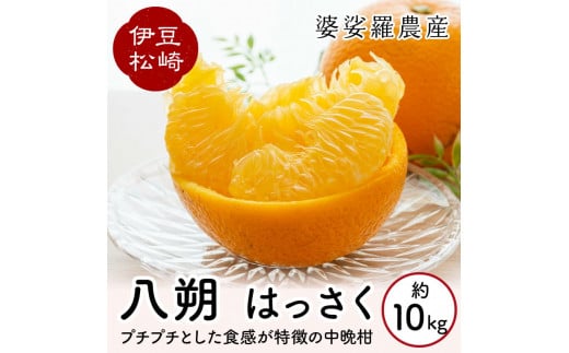 婆娑羅農産 八朔 はっさく 10kg