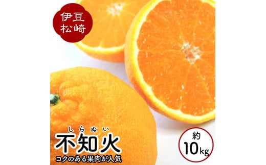 鈴切農園 不知火 しらぬい 10kg～11kg