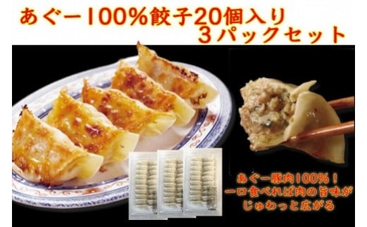 沖縄そばセット&あぐー100％餃子（2パックセット）｜沖縄 那覇市 沖縄そば セット あぐー 餃子 点心 加工品 おかず 人気 レトルト
