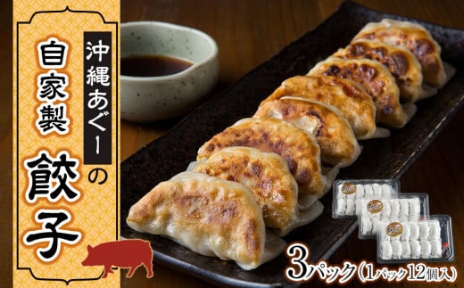 沖縄あぐーの自家製餃子|沖縄 那覇市 食品 おかず 加工食品 人気 あぐー 餃子  惣菜 レトルト 冷凍