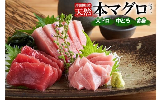 【希少！】沖縄県産 天然本マグロセット 約1kg ( 赤身約400g & 中トロ約300g & 大トロ約300g )｜マグロ 刺身 セット那覇市 魚貝類 マグロ カツオ 中トロ 大トロ 刺身 セット 人気