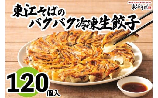 東江そばのバクバク冷凍生餃子　120個入｜沖縄　那覇市　餃子 冷凍 生餃子 惣菜 レトルト  人気　東江そば