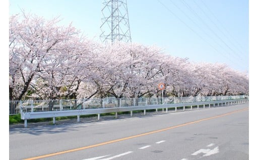 ３．憩う。集う。つながる。「公園再生プロジェクト」