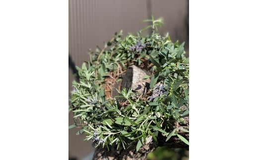 季節の花を使ったリース