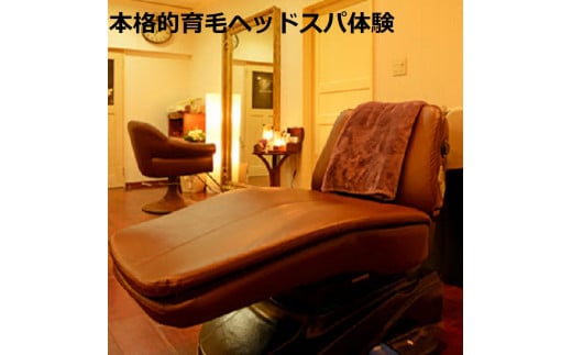 415-001【育毛促進/リフトアップ】育毛ヘッドスパ半年間６回コース＋ホームケア半年分