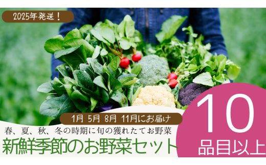 040-002 【2025年1月以降順次発送】新鮮季節のお野菜セット年4回(江戸川極み野菜)