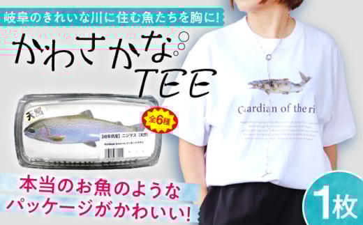 魚好きの人へ！かわさかなTEE Tシャツ 【天然あゆ XLサイズ】 岐阜市 / スポット [ANGD001-18]