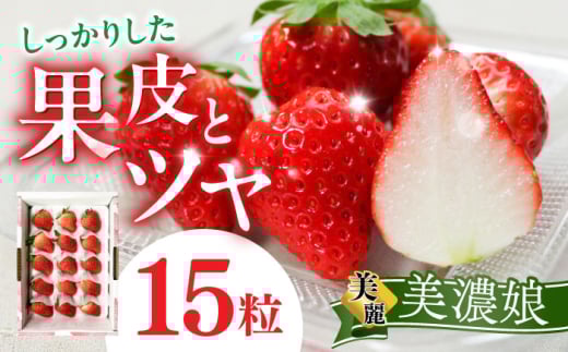 岐阜いちご”美濃娘”　15粒入り化粧箱×1箱 岐阜市 / ぎふ農業協同組合 おんさい広場鷺山 [ANAS016]