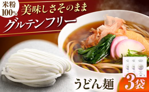 【グルテンフリー】 力強いコシを楽しむ！ 米粉うどん うどん グルテンフリー 米粉 岐阜市 / 小林生麺株式会社 [ANGM004]