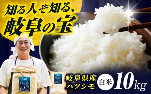 【令和6年度産】岐阜県産米ハツシモ10kg ハツシモ 白米 精米 米　岐阜市 / 藍川ファーム [ANHI002]