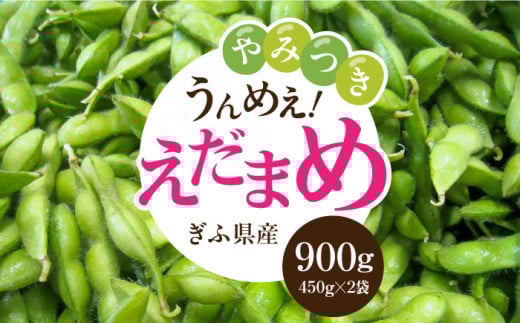＜うまっ！＞やみつき必須！うんめえ枝豆！ 900g 【配送不可地域：北海道・沖縄・離島】 産地直送 野菜 えだまめ 岐阜市 / 大塚農園 [ANDQ001]