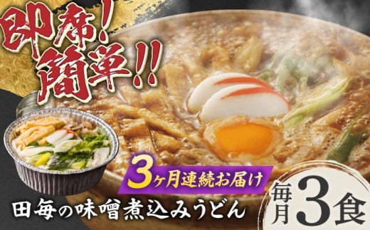 【3回定期便】岐阜の味 田毎の味噌煮込みうどんセット 即席 カンタン 麺 岐阜市 / ラボレムス [ANFP008]