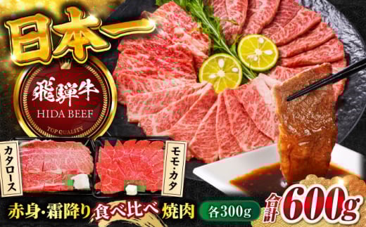 【飛騨牛】赤身(モモ・カタ)・霜降り(バラ)焼肉(各300g)計600g BBQ 赤身 ロース 岐阜市/丸福商店 [ANBO023]