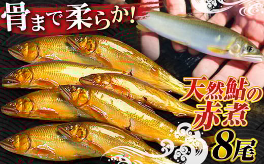 清流長良川 天然鮎 赤煮 郷土料理 煮魚 新鮮 岐阜市/天然鮎専門 結の舟 [ANBN001]