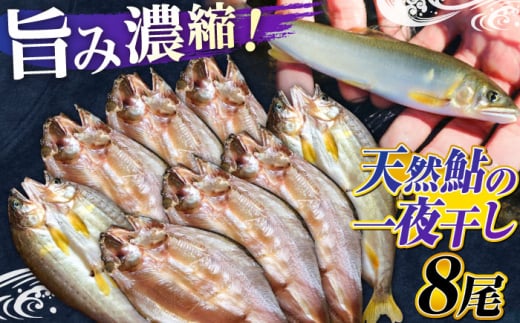 清流長良川 天然鮎 一夜干し 手作り 香魚 冷凍 岐阜市 / 天然鮎専門 結の舟 [ANBN002]