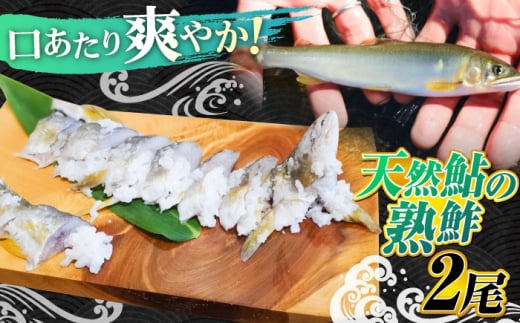 清流長良川 天然鮎 鮎鮓（なれずし） 木桶 発酵食 生熟れ 岐阜市/天然鮎専門 結の舟 [ANBN003]