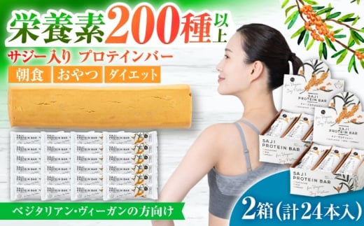 サジープロテインバー ２箱（24本入り）サジーとソイプロテインの低糖質バー 動物性不使用 保存料不使用 毎日の栄養バランス サジープロテインバー 豆 栄養食 朝食 岐阜市 / 宝島ジャパン [ANDF002]