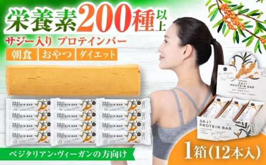 サジープロテインバー 1箱（12本入り）サジーとソイプロテインの低糖質バー 動物性不使用 保存料不使用 毎日の栄養バランス サジープロテインバー 豆 栄養食 朝食 岐阜市 / 宝島ジャパン [ANDF001]