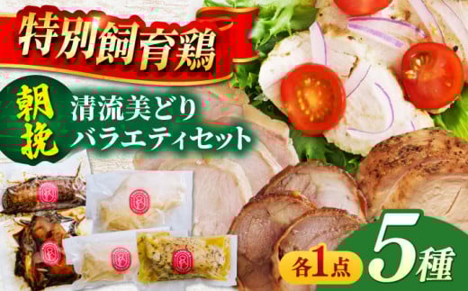 朝挽き 清流美どり バラエティ5点セット 鶏肉 若鶏 お取り寄せ 岐阜市/若鶏の春近 [ANDL007]