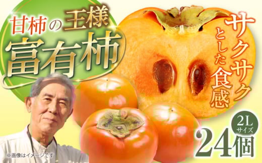 【12月より順次発送】岐阜市産 富有柿 2L【24個入り】 産地直送 フルーツ 柿 岐阜市 / 羽賀政夫 [ANDZ002]