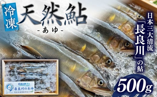 【世界農業遺産】清流長良川 天然鮎(冷凍) 500g 10月～12月申込 産地直送 新鮮 あゆ 岐阜市/SONAMU [ANEX002]