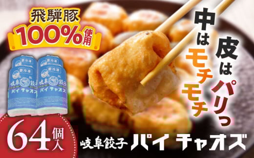 岐阜餃子64個入り（パイチャオズ） ぎょうざ 冷凍餃子 お取り寄せ 岐阜市/MABUCHIKOGYO [ANEY001]