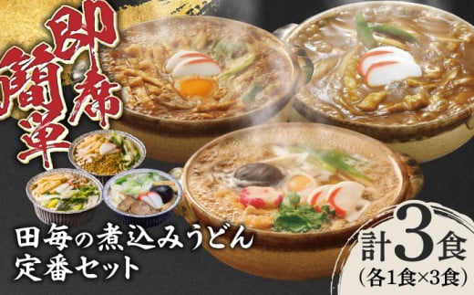 岐阜の味　田毎の煮込みうどん定番セット 即席 カンタン 麺 岐阜市/ラボレムス [ANFP003]