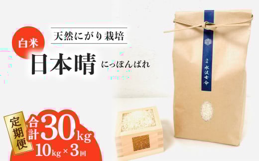【定期便】日本晴 白米 10kg×3回 3ヶ月連続  天然にがり栽培 にっぽんばれ 希少 品種 お寿司 ピラフ チャーハン