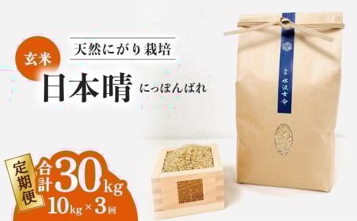 【定期便】 日本晴 玄米 10kg×3回 3ヶ月連続   天然にがり栽培 にっぽんばれ 希少 品種 お寿司 ピラフ チャーハン